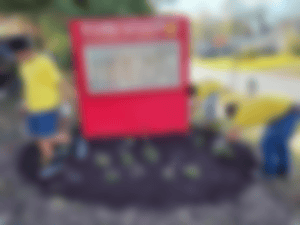 Screen Shot 2023-11-30 at 9.00.51 AM